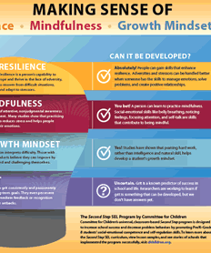 Making Sense of Resilience, Mindfulness, Growth Mindset and Grit ...