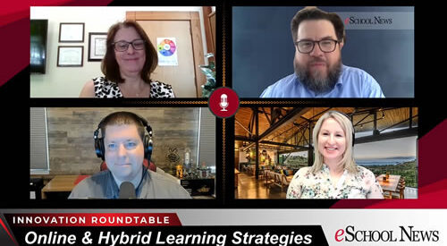 Online and Hybrid Learning Strategies: eSN Innovation Roundtable